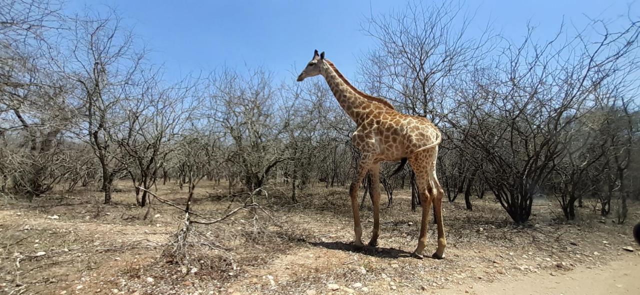Kruger Riverside Lodge - No Load-Shedding Marloth Park Εξωτερικό φωτογραφία