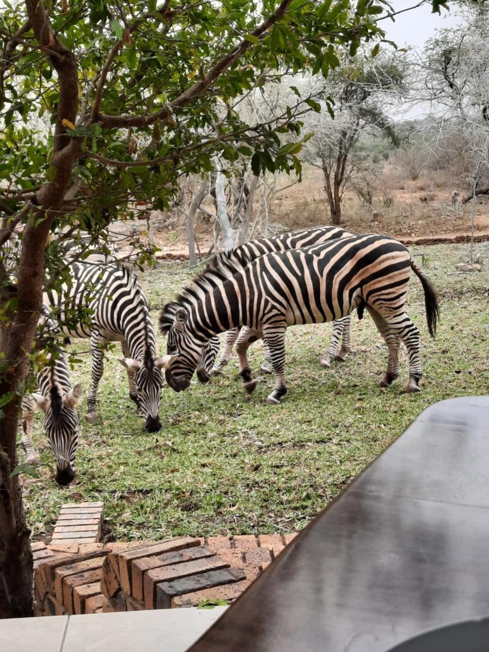 Kruger Riverside Lodge - No Load-Shedding Marloth Park Εξωτερικό φωτογραφία
