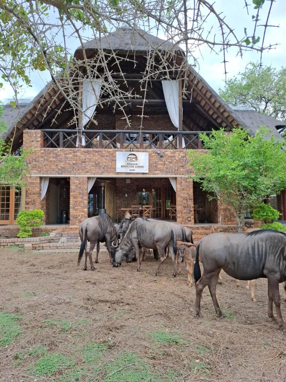 Kruger Riverside Lodge - No Load-Shedding Marloth Park Εξωτερικό φωτογραφία