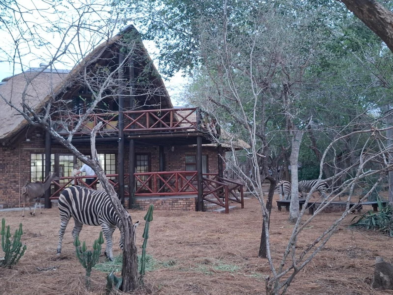 Kruger Riverside Lodge - No Load-Shedding Marloth Park Εξωτερικό φωτογραφία