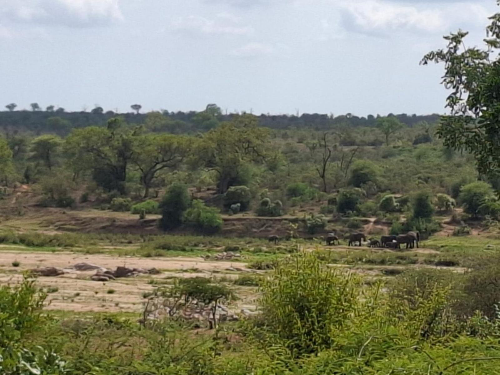 Kruger Riverside Lodge - No Load-Shedding Marloth Park Εξωτερικό φωτογραφία
