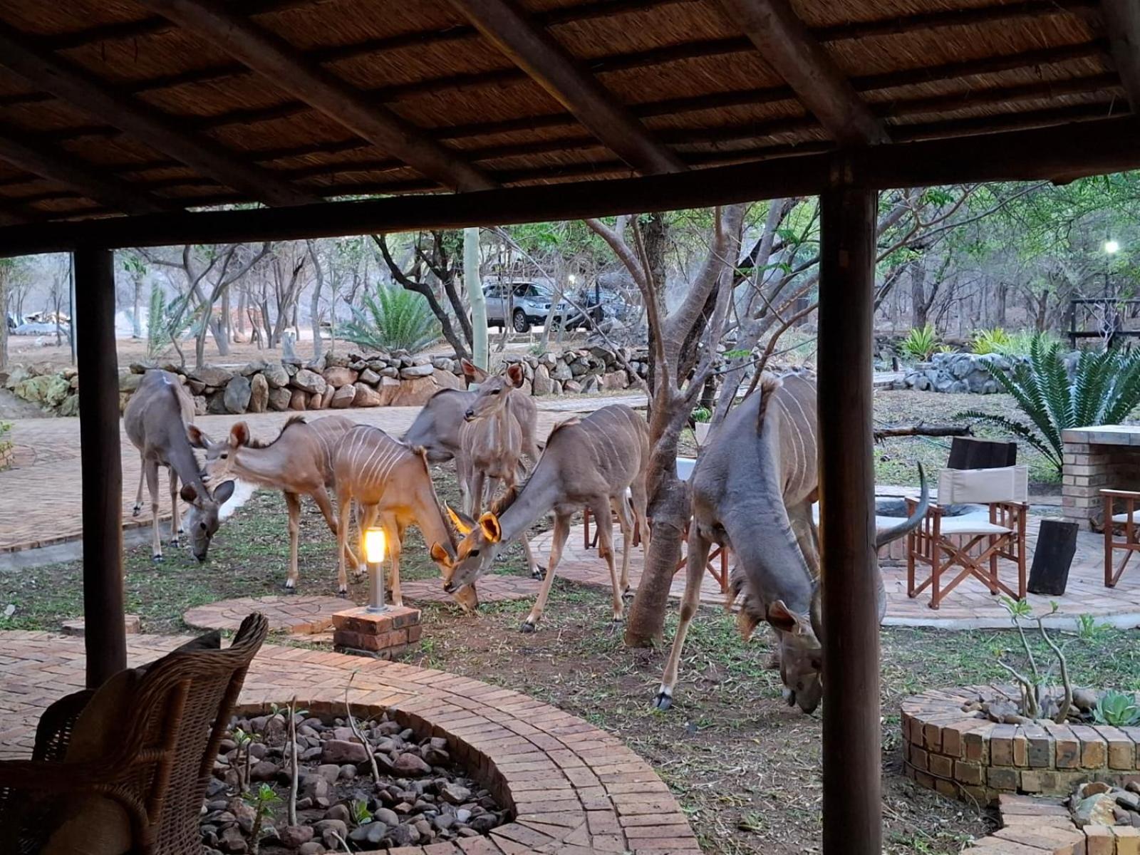 Kruger Riverside Lodge - No Load-Shedding Marloth Park Εξωτερικό φωτογραφία