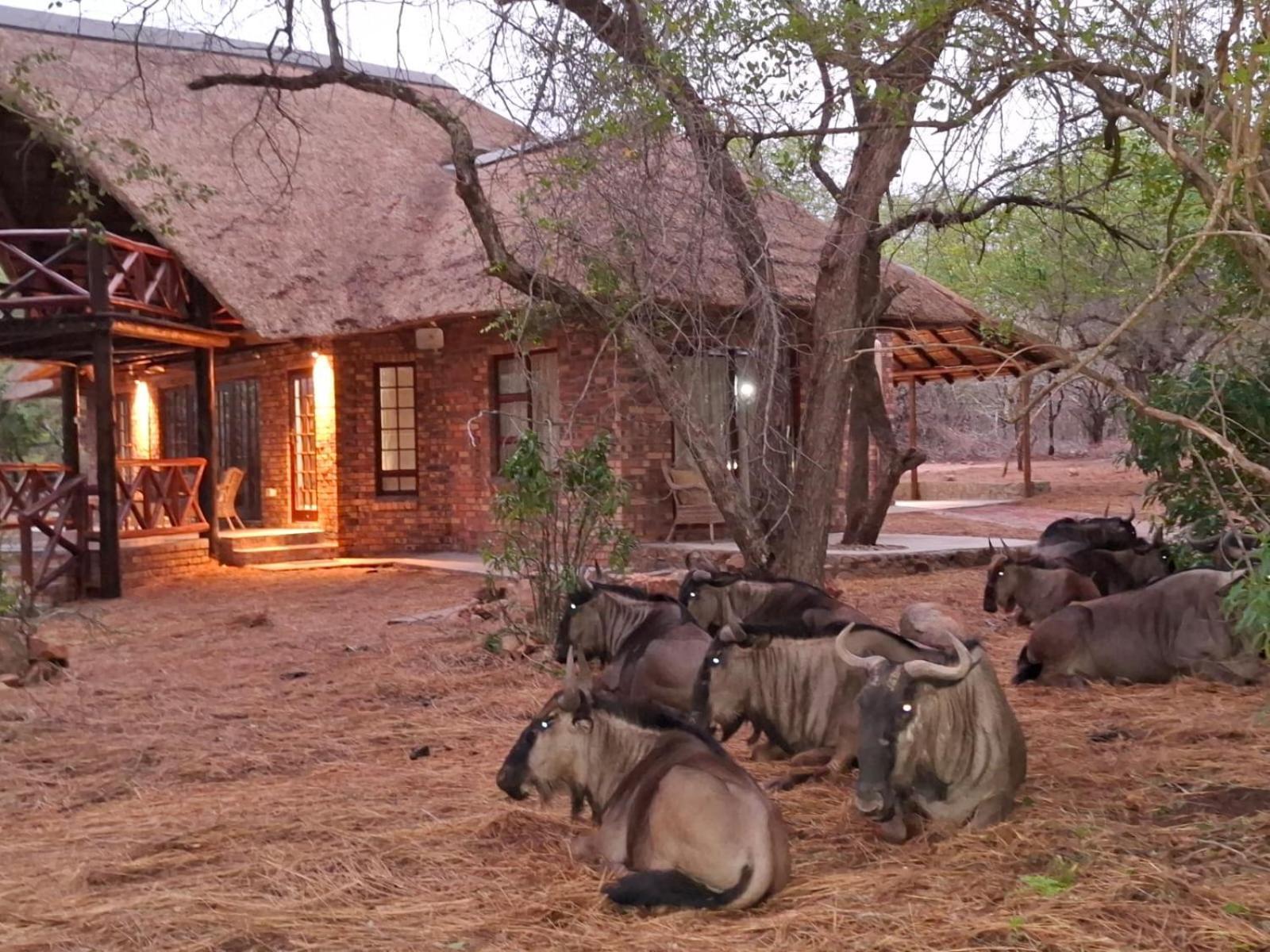 Kruger Riverside Lodge - No Load-Shedding Marloth Park Εξωτερικό φωτογραφία