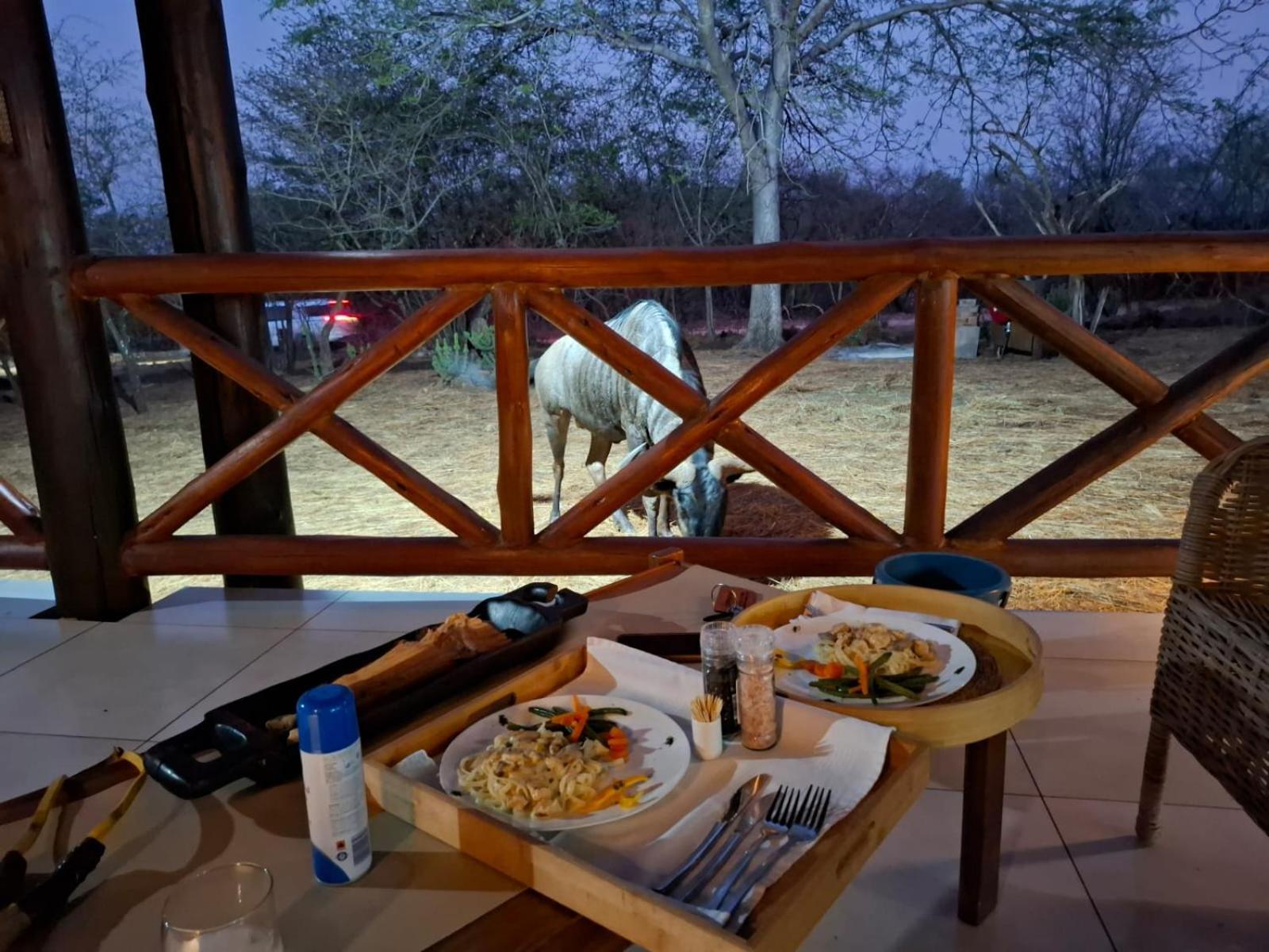 Kruger Riverside Lodge - No Load-Shedding Marloth Park Εξωτερικό φωτογραφία
